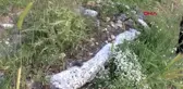 TUNCELİ Tarihi atbaşı mezar taşları define avcılarının talanına uğradı - 1