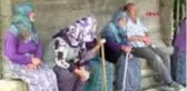 Yumurta büyüklüğünde yağdığı söylenen dolu, tarım arazilerine zarar verdi