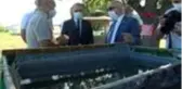 Çanakkale'de 10 bin çipura yavrusu denize bırakıldı