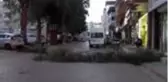 İslahiye'de rüzgar ağaçları kırdı