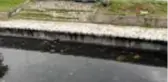 Samatya Sahil'deki çöp yığınlarına vatandaş isyan etti