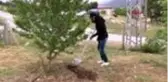 ADANA MURAT KEKİLLİ BENİ GÖREN İNSANLAR ŞAŞIRIP 'BURADA NE İŞİN VAR' DİYOR