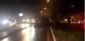 Bodrum'da kontrolden çıkıp orta refüje çarpan kamyonetin sürücüsü yaralandı