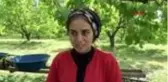Iğdır'da kayısı hasadı