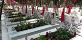 MERSİN Mersin şehitliğinde hüzünlü 'Babalar Günü'
