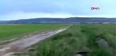 Eskişehir'de etkili olan dolu ve sağanak, tarım arazilerinde hasara yol açtı