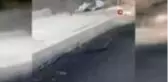 Siirt'te yılanların dansı kameraya yansıdı