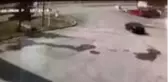 Sivas'ta otomobille cipin çarpıştığı kaza güvenlik kamerasında