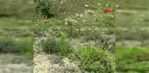 Son dakika haber... Test uçuşu yapan Hürkuş uçağının enkazından ilk görüntüler-2