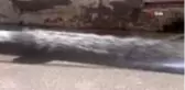 Belediye teyakkuza geçti, selin izleri 2 saatte temizlendi