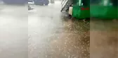 ÇANAKKALE Dolu, Biga'da tarlaları vurdu