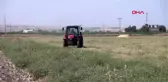 BATMAN Hayvanların otlatılamadığı merada temizlik