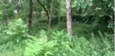 Bursa'nın simgesi Havuzlupark harabeye döndü