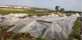 Hortumun vurduğu seralar drone ile görüntülendi