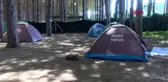 Hayalet ağlar caretta carettaları öldürüyor