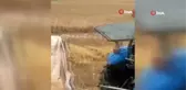 Son dakika haber | Nallıhan'da arpa hasadı başladı