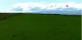 Kars'ta Kavılca buğdayı dönemi başladı