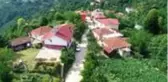 Fıkra gibi mahalle! Ordu'nun Yazlık Mahallesi'nde herkesin soyadı Sarı