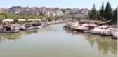 Küçükçekmece Gölü'nde binlerce ölü balık kıyıya vurdu