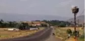 Bingöl-Genç kara yolu leyleklerle şenlendi