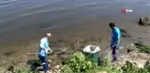 Çevre ve Şehircilik Bakanlığı ekipleri, balık ölümlerinin yaşandığı Küçükçekmece Gölü'nden numune...