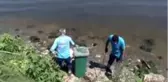 Küçükçekmece'de balık ölümleri devam ediyor