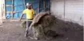 Saraykent Sosyal Yardımlaşma Derneğinden ihtiyaç sahiplerine kurbanlık desteği