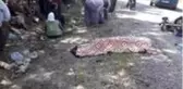 Uşak'ta motosiklet kazasında 2 kişi hayatını kaybetti, 1 kişi yaralandı