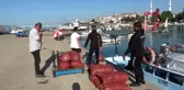 DÜZCE Akçakoca'da dalgıçlar salyangoz için dalıyor