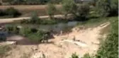 Son dakika haberi | Kırklareli'nde sıcaktan bunalan çocuklar derede serinliyor
