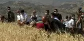 Engebeli arazilerde orakla buğday hasadı başladı