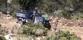 Mağaralarda olgunlaşmaya bırakılan obruk peynirinin 