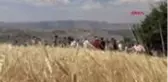 Şırnak'ta buğday hasadı şenliği düzenlendi