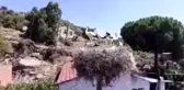 Ayağı kopan leylek yavrusu tedavi altına alındı