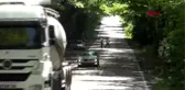 BARTIN Ağaç tünel yol büyülüyor