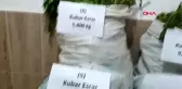 KONYA Tarlalara kenevir eken şüpheli, fotokapan sayesinde yakalandı