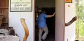 Korona virüsü hissetti, resimlerine yansıttı