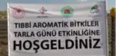 Lavanta hasadı yapıldı