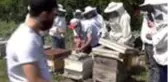 Arıların içine girdiler, eğitimi hem teorik hem pratik yaptılar