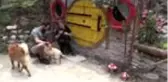 Son Dakika | Salgın sürecinde kızına doğada 