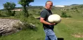 Futbol topu sandı, 5 kilogram ağırlığında mantar çıktı