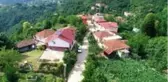 Karadeniz fıkrası gibi mahalle: Yer gök 'sarı'