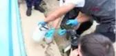 Kütahya Bakan Kurum: Termik santralleri 7 gün 24 saat izliyoruz