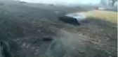 Anız yangını ormana sıçradı