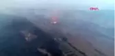 Çanakkale'deki yangında canlarını ve hayvanlarını son anda kurtardılar