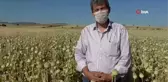 Hüyük'te üreticinin yüzü çilekten sonra haşhaşla da güldü