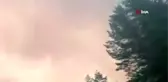 Ukrayna'da korkutan orman yangını: 4 ölü