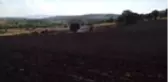 Yangında bin dekar ekili arazi zarar gördü