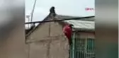 Kenya'da babunu kovalamak için 4 katlı binaya tırmanan kişi yere çakıldı