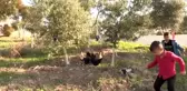 Özlem öğretmen okulda 